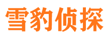 黎川市调查取证